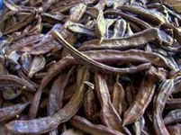 Hamilelikte Keçi Boynuzunun Faydaları Nelerdir?